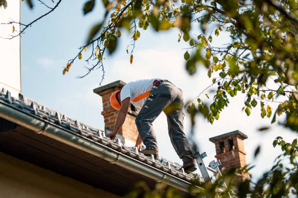 Professional Roofing Services in East Highland Park, VA