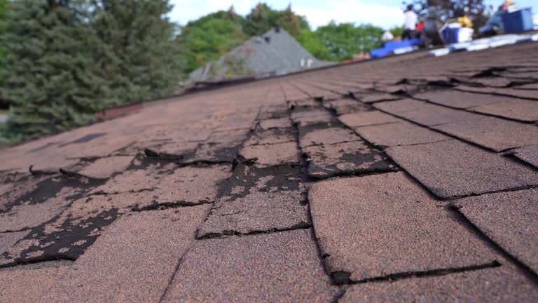 Best Commercial Roofing Services  in East Highland Park, VA