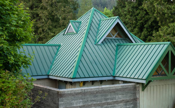Best Roof Moss and Algae Removal  in East Highland Park, VA